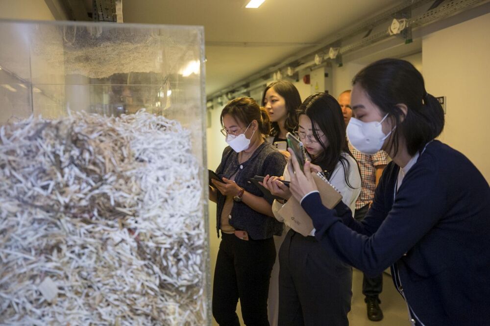 Delegacja Obywatelskiego Sojuszu Obrony Praw Człowieka w Korei Północnej (NKHR) z wizytą w Archiwum IPN – Warszawa, 8 sierpnia 2022. Fot. Katarzyna Adamów (IPN)