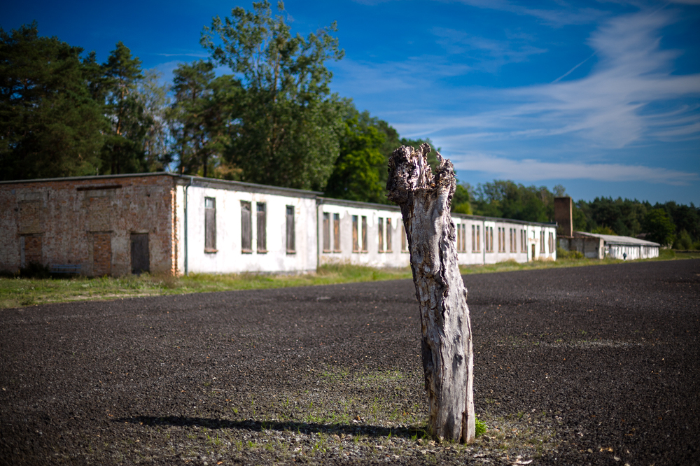 Miejsce Pamięci i Przestrogi Ravensbrück – 6 września 2022 Fot. Sławek Kasper (IPN)