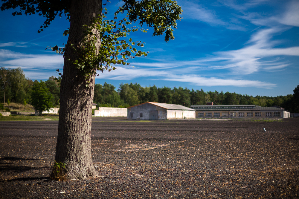 Miejsce Pamięci i Przestrogi Ravensbrück – 6 września 2022 Fot. Sławek Kasper (IPN)