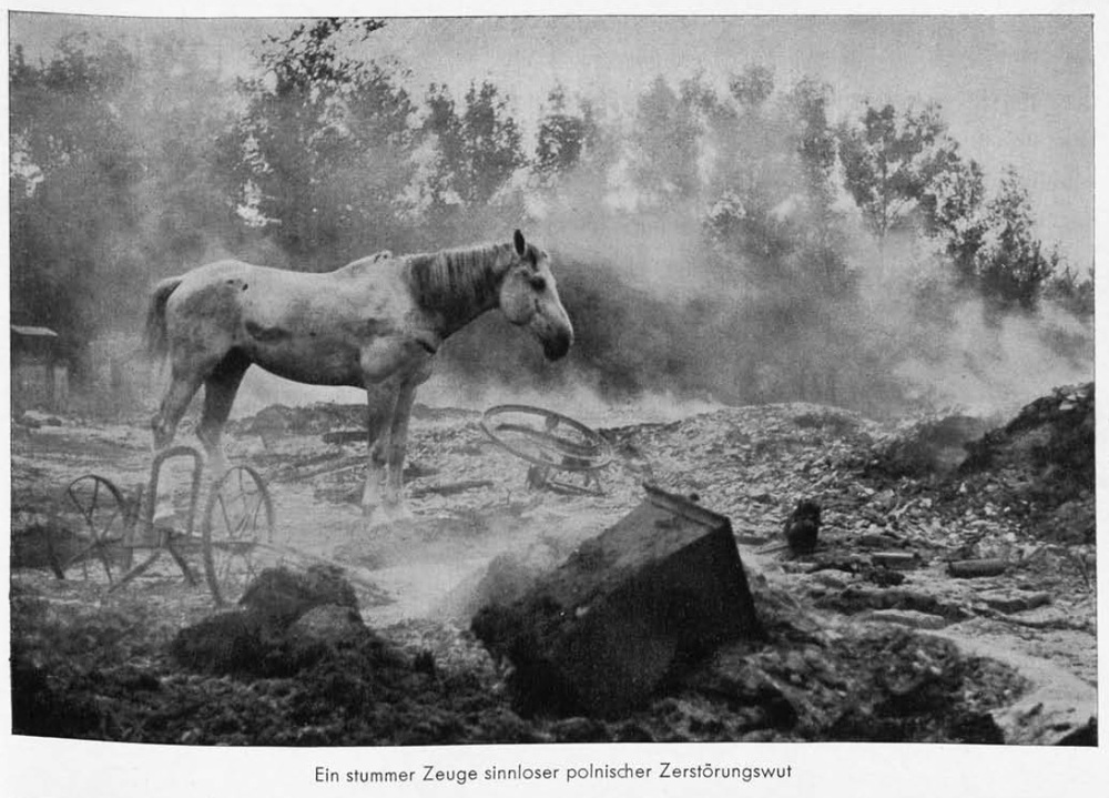 Ein stummer Zeuge sinnloser polnischer Zerstörungswut (pol. Niemy świadek bezsensownej polskiej żądzy niszczenia) – niemieckie zdjęcie propagandowe z albumu „Hitler in Polen”