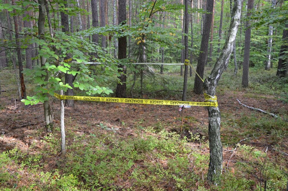 Miejsce poszukiwań mogił ofiar obozu NKWD w Trzebusce – Nienadówka, 19 września 2022. Fot. Katarzyna Gajda-Bator IPN