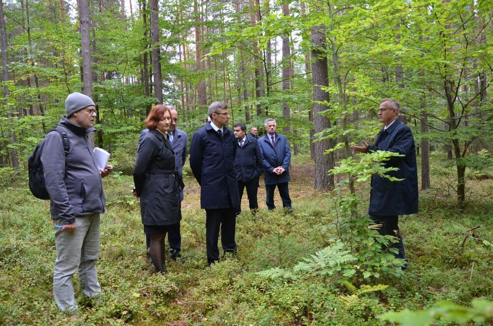 Miejsce poszukiwań mogił ofiar obozu NKWD w Trzebusce – Nienadówka, 19 września 2022. Fot. Katarzyna Gajda-Bator IPN