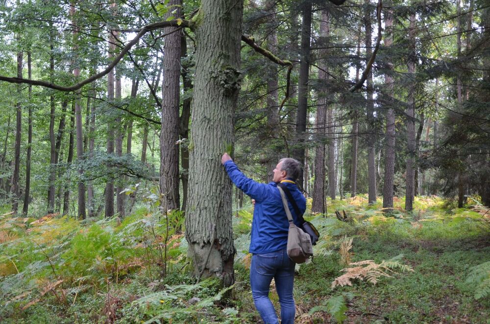 Piotr Ożóg na miejscu śmierci żołnierza AK Mieczysława Miazgi ps. „Mak” – Nienadówka, 19 września 2022. Fot. Katarzyna Gajda-Bator IPN