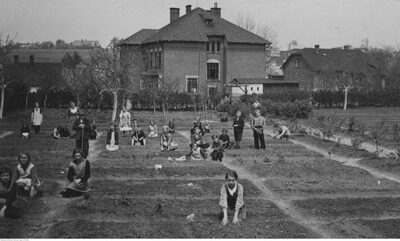 Uczniowie pracujący w ogrodzie szkolnym. Na dalszym planie widoczny budynek szkoły powszechnej nr 5 w Białej-Lipniku koło Krakowa, 1936, fot. NAC