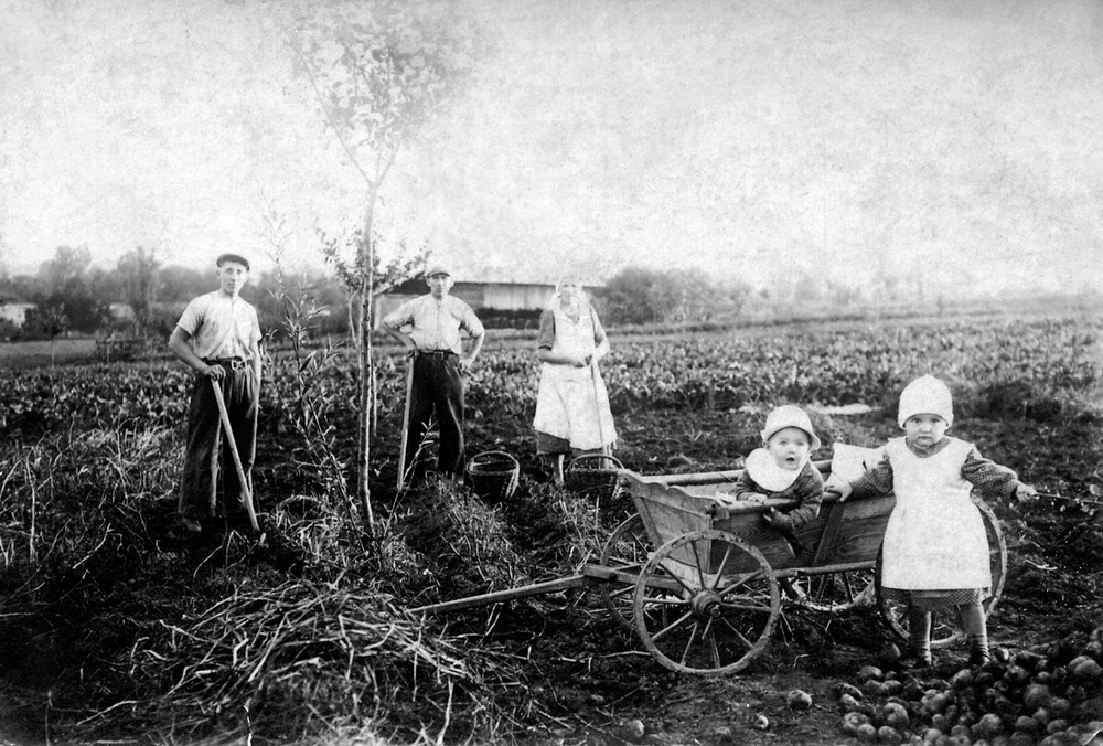 Dzieci Józefa i Wiktorii Ulmów