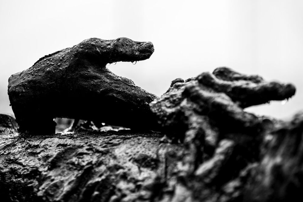 Uroczystość odsłonięcia nowego elementu pomnika Poległym i Pomordowanym na Wschodzie – Warszawa, 24 lutego 2023. Fot. Mikołaj Bujak (IPN)