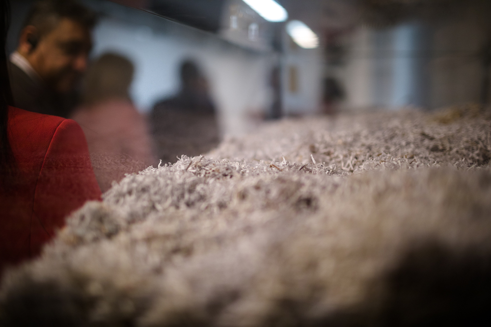 Przedstawiciele rządu i dyplomacji Państwa Palestyny z wizytą w Instytucie Pamięci Narodowej  – 17 marca 2023. Fot. Sławek Kasper (IPN)