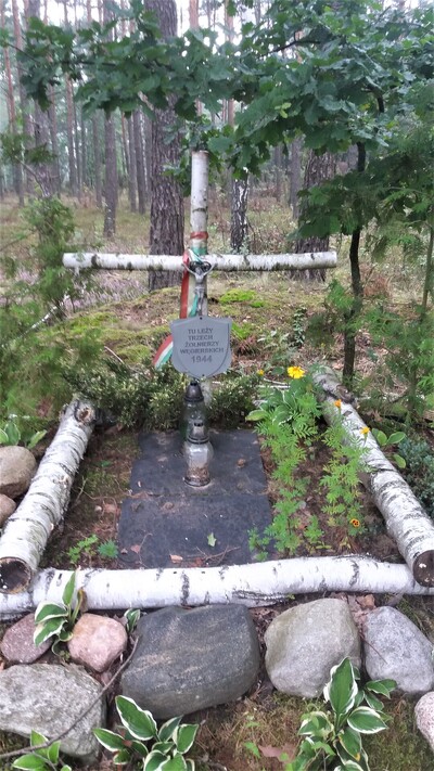 Miejsce ekshumacji 3 żołnierzy armii węgierskiej