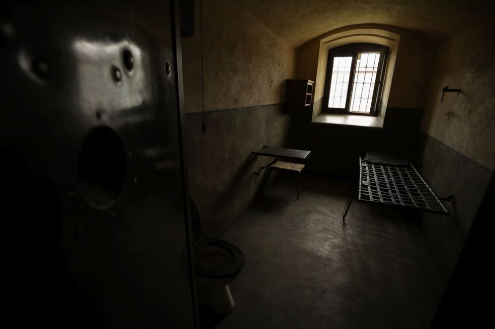 Konferencja prasowa w 75. rocznicę zamordowania rotmistrza Witolda Pileckiego – Warszawa, 24 maja 2023. Fot. Mikołaj Bujak (IPN)