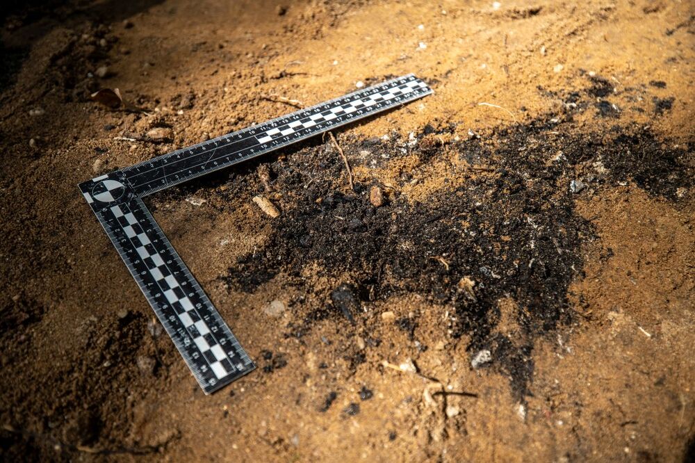 Odnaleziono zbiorową mogiłę ofiar zbrodni niemieckich dokonanych w pierwszych miesiącach II wojny światowej w Lesie Szpęgawskim