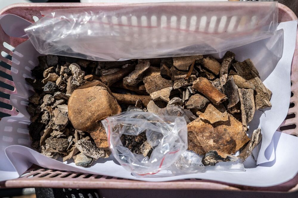 Odnaleziono zbiorową mogiłę ofiar zbrodni niemieckich dokonanych w pierwszych miesiącach II wojny światowej w Lesie Szpęgawskim