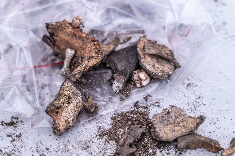 Odnaleziono zbiorową mogiłę ofiar zbrodni niemieckich dokonanych w pierwszych miesiącach II wojny światowej w Lesie Szpęgawskim