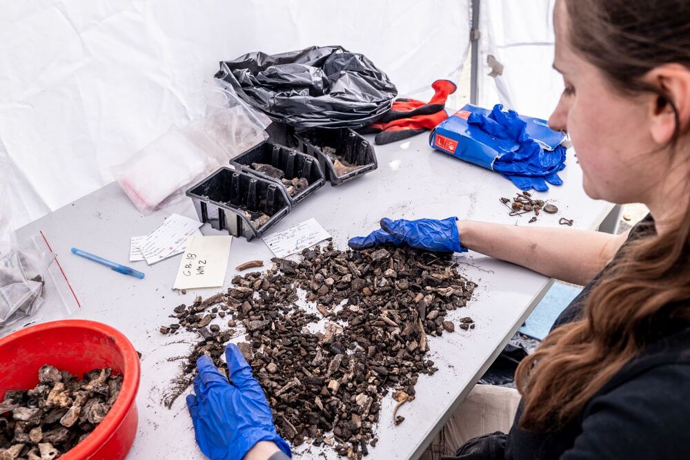 Odnaleziono zbiorową mogiłę ofiar zbrodni niemieckich dokonanych w pierwszych miesiącach II wojny światowej w Lesie Szpęgawskim