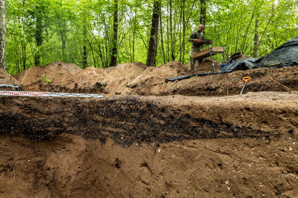 Odnaleziono zbiorową mogiłę ofiar zbrodni niemieckich dokonanych w pierwszych miesiącach II wojny światowej w Lesie Szpęgawskim