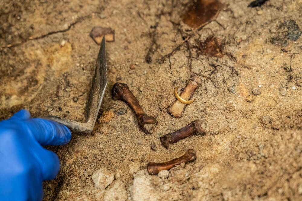 Odnaleziono zbiorową mogiłę ofiar zbrodni niemieckich dokonanych w pierwszych miesiącach II wojny światowej w Lesie Szpęgawskim