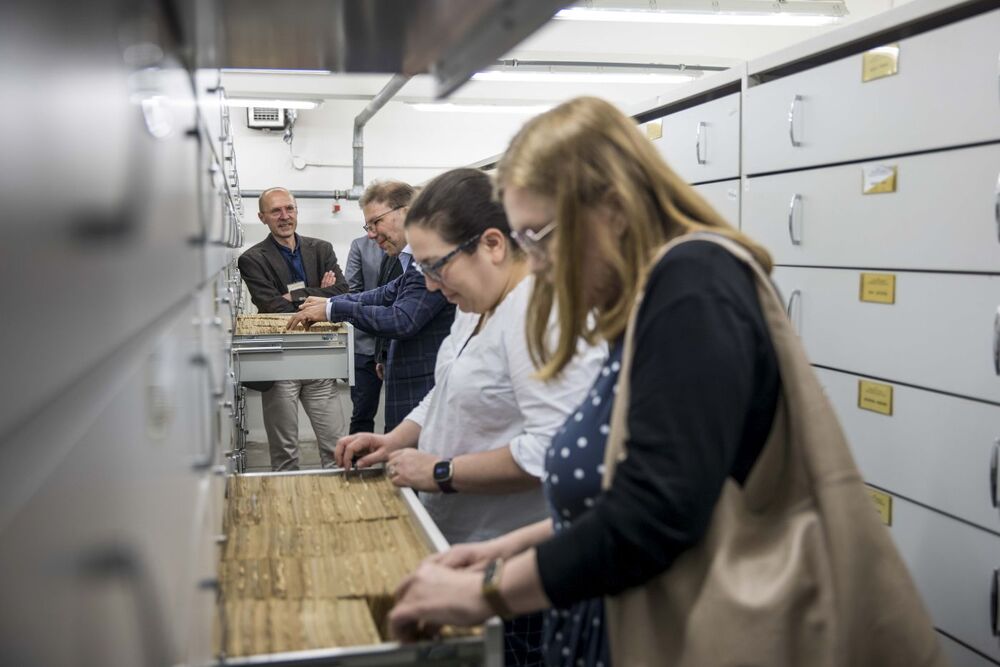 Warsztaty w Archiwum IPN na temat elektronicznych baz danych – Warszawa, 13–14 czerwca 2023. Fot. Katarzyna Adamów (IPN)