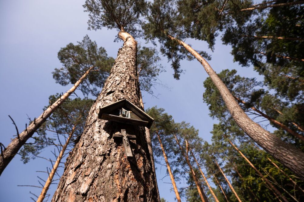 Spotkanie modlitewne na cmentarzu w Jagielle-Niechciałkach, upamiętniające Żydów, zamordowanych w Markowej przez Niemców –10 września 2023. Fot. Mikołaj Bujak (IPN)