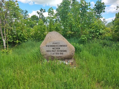 Pomnik Burgweide przy alei Poprzecznej, czyli w pierwotnym miejscu, w którym został odsłonięty 11 września 1968 roku. Zdjęcie wykonano w sierpniu 2022 roku. Fot. Kamilla Jasińska