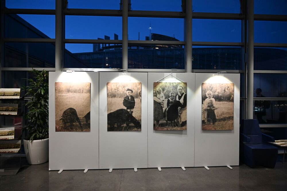 Otwarcie wystawy IPN „Śmierć za człowieczeństwo. Rodzina Ulmów” w Parlamencie Europejskim – 16 stycznia 2024. Fot. EKR