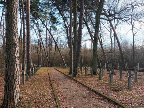Cmentarz wojenny w lasach ościsłowskich upamiętniający ofiary zbrodni niemieckich z okresu II wojny światowej – działaczy organizacji niepodległościowych (fot. E. Strzeszewska, IPN)
