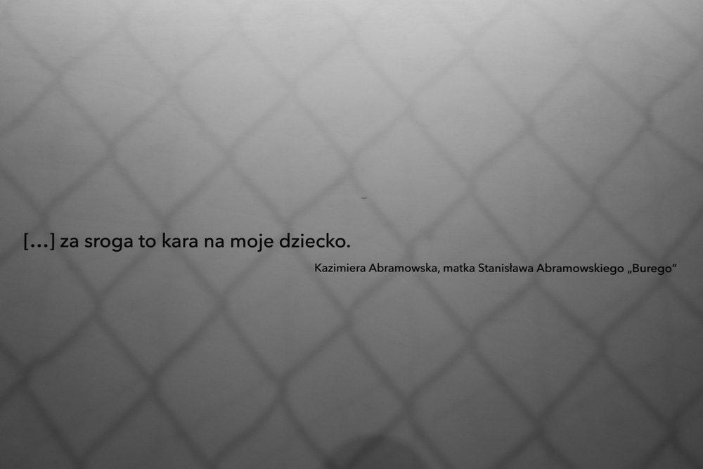 Wystawa „Dowody Zbrodni” – Warszawa, 29 lutego 2024 r. Fot. Mikołaj Bujak (IPN)