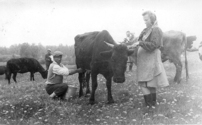 Pracownicy spółdzielni produkcyjnej Górne w powiecie gołdapskim (fot. Archiwum Państwowe w Białymstoku)