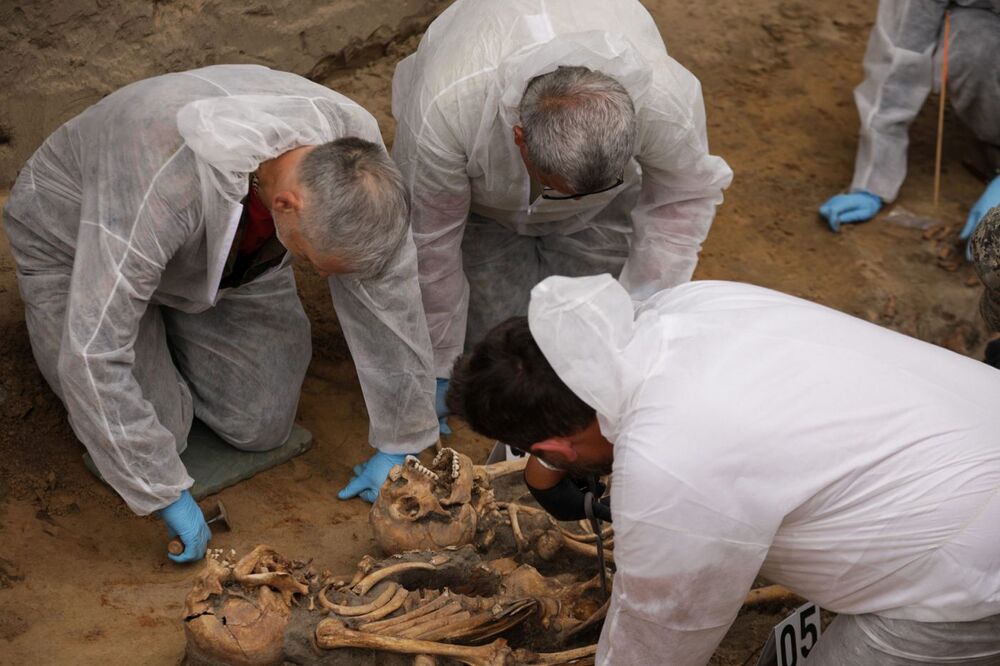 Masowe mogiły Polaków na Polach Igielskich w Dolinie Śmierci w Chojnicach odnalezione przez IPN – 23 maja 2024. Fot. Mikołaj Bujak (IPN)