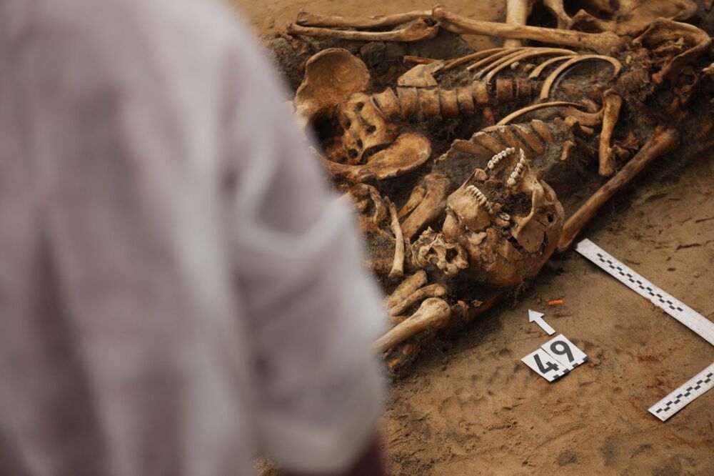 Masowe mogiły Polaków na Polach Igielskich w Dolinie Śmierci w Chojnicach odnalezione przez IPN – 23 maja 2024. Fot. Mikołaj Bujak (IPN)