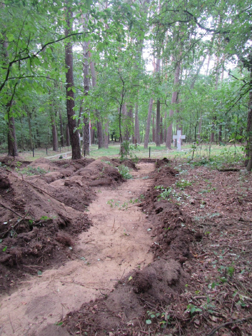 Rozpoczął się I etap prac poszukiwawczych w Lasach Zakrzewsko-Palędzkich