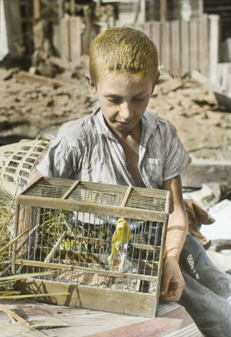 Ten-year-old Zygmunt Aksienow with the canary in the cage, corner of Wójtowska and Przyrynek Streets in Warsaw&#039;s New Town, September 1939 (AIPN, Julien Bryan Collection in Warsaw)