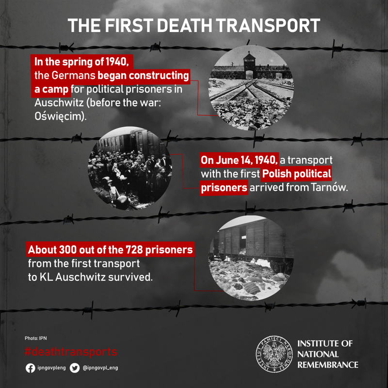 The first transport to Auschwitz-infographic