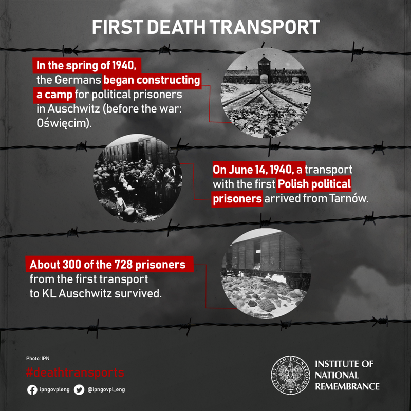 First Death Transport infographic 1