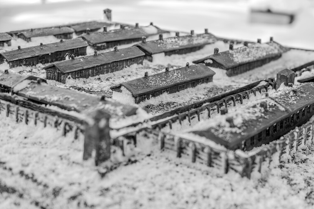 „Tragedia Górnośląska” – pamięć historii i historia pamięci. Fot.: IPN K. Łojko