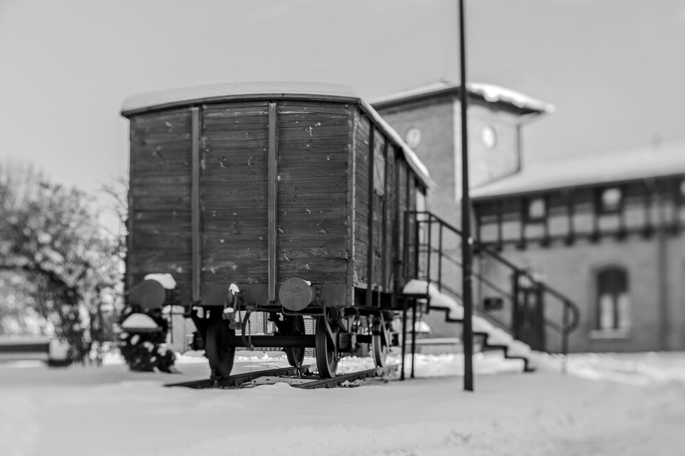 „Tragedia Górnośląska” – pamięć historii i historia pamięci. Fot.: IPN K. Łojko