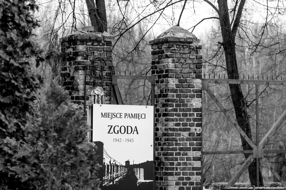 „Tragedia Górnośląska” – pamięć historii i historia pamięci. Fot.: IPN K. Łojko