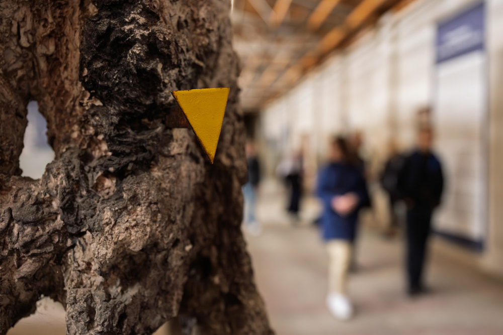 Wyjazd finalistów konkursu „W kręgu pamięci i prozy lagrowej więźniarek KL Ravensbrück” do Miejsca Pamięci i Przestrogi Ravensbrück, 23 – 26 maja 2025. Fot.: IPN Krzysztof Łojko