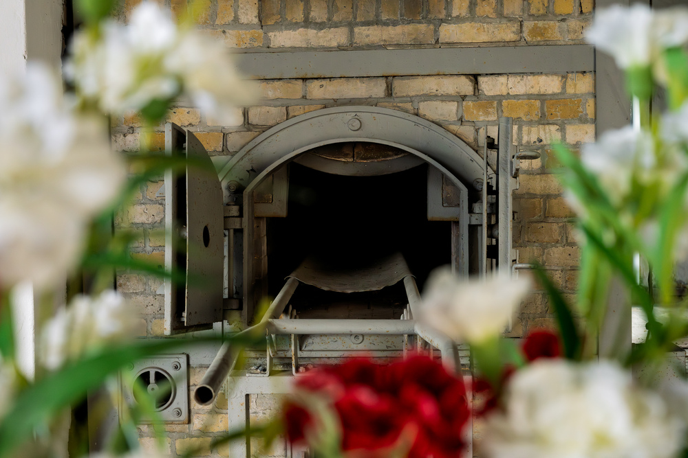 Wyjazd finalistów konkursu „W kręgu pamięci i prozy lagrowej więźniarek KL Ravensbrück” do Miejsca Pamięci i Przestrogi Ravensbrück, 23 – 26 maja 2025. Fot.: IPN Krzysztof Łojko