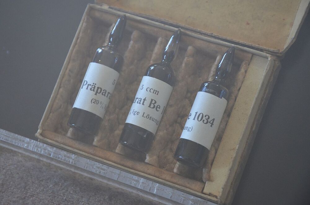 Uroczystość pamięci więźniarek karnej kompanii kobiet KL Auschwitz – Bor/Budy. Fot. Janusz Ślęzak (IPN)