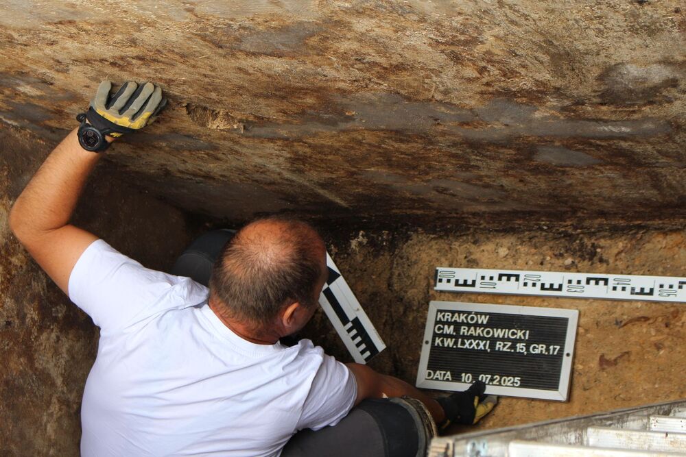Prace poszukiwawcze na cmentarzu Rakowickim w Krakowie. Lipiec 2025. Fot. IPN