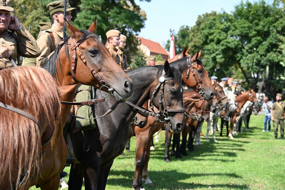 528466657_1078413381138135_6839514227397205255_n