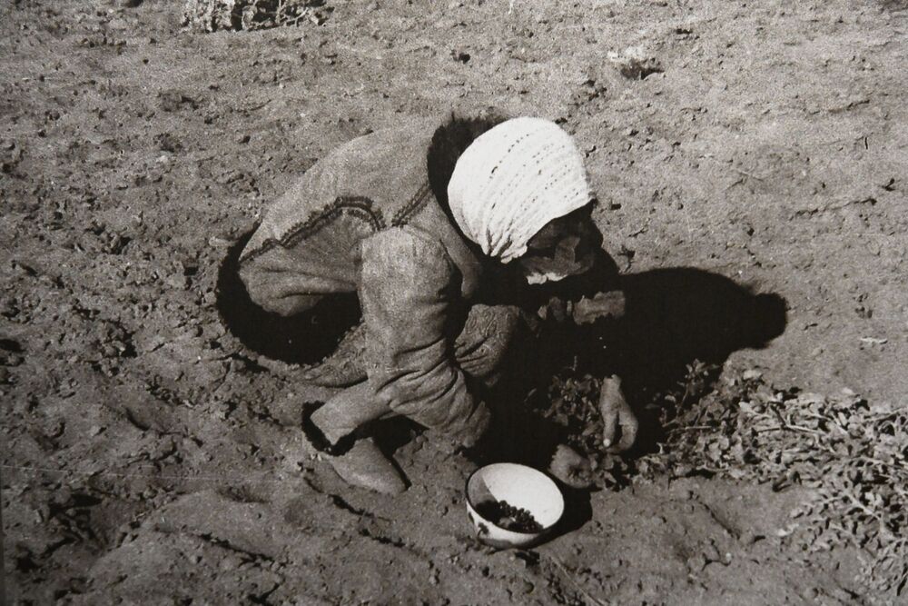 86. rocznica pierwszej deportacji Polaków w głąb ZSRS. Uroczystości w Krakowie. Fot. Janusz Ślęzak (IPN)