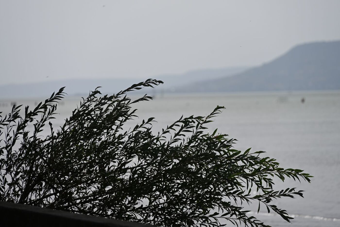 Ekipa krakowskiego oddziału IPN w Balatonboglár na Węgrzech. Fot. Janusz Ślęzak (IPN)