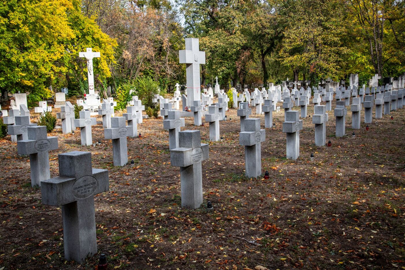 Msza św.i spotkanie z Polonią. Fot. Agnieszka Masłowska (IPN)