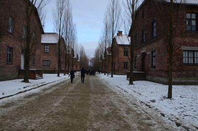 Uroczystości w 74. rocznicę wyzwolenia obozu Auschwitz-Birkenau