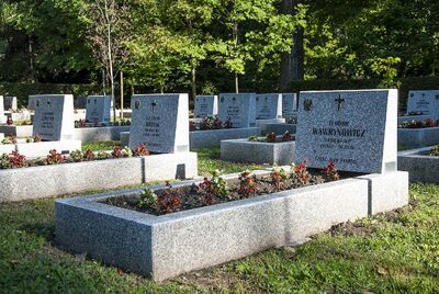 Cmentarz Rakowicki. Odnowione groby żołnierzy