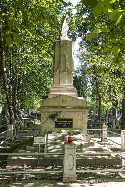 Cmentarz Rakowicki. Pomnik młodzieży krakowskiej poległej w obronie granic ojczyzny