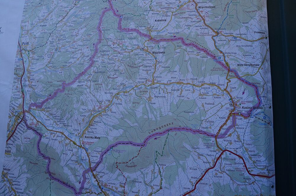 X nocny marsz śladami gen. Nila. Fot. Janusz Ślęzak (IPN)