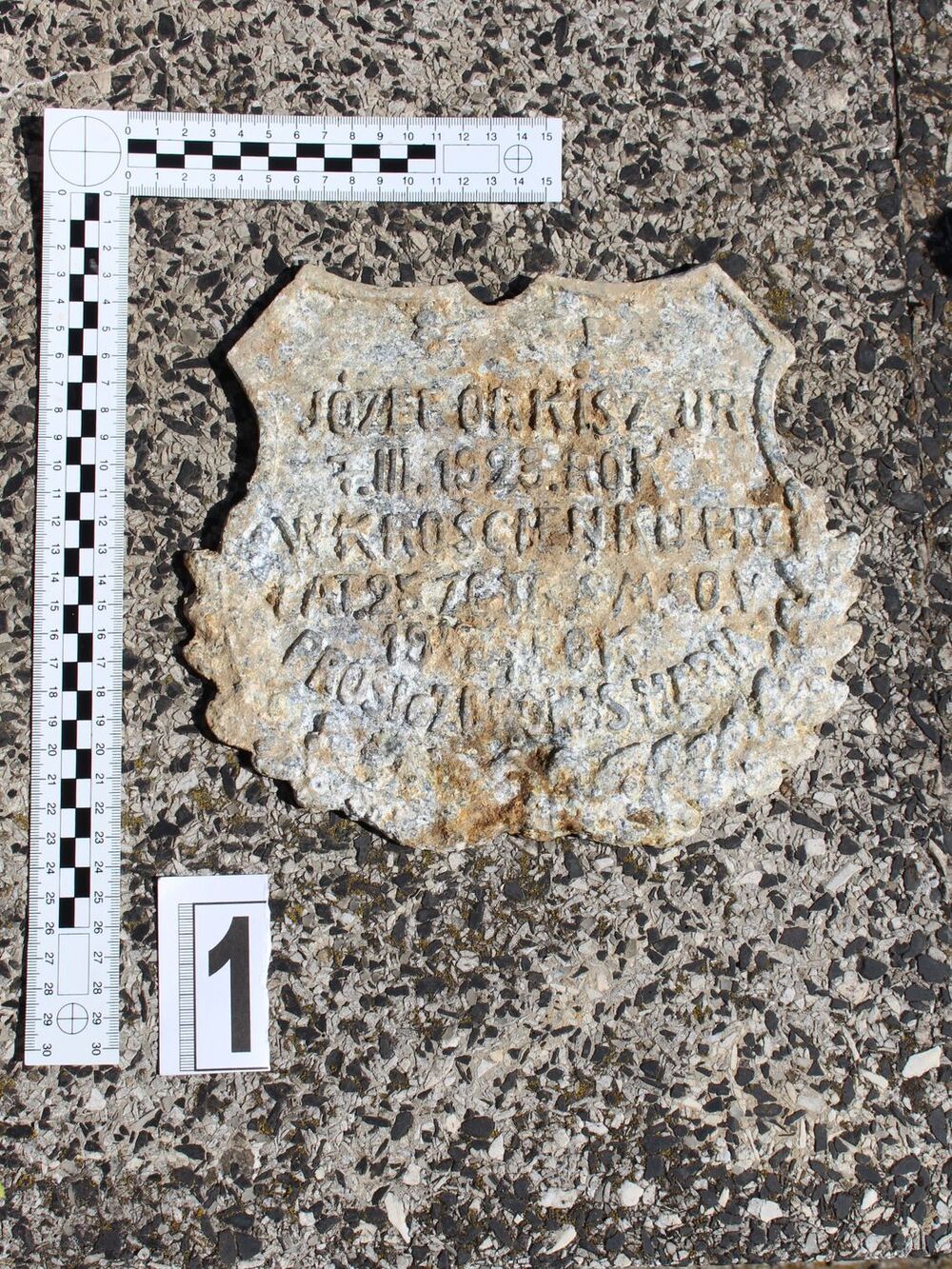 Prace poszukiwawcze w Nowym Targu. Fot. IPN