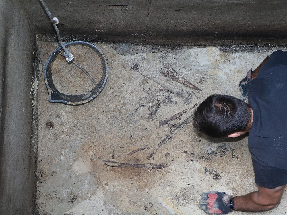 Prace poszukiwawcze w Krakowie. Fot. IPN