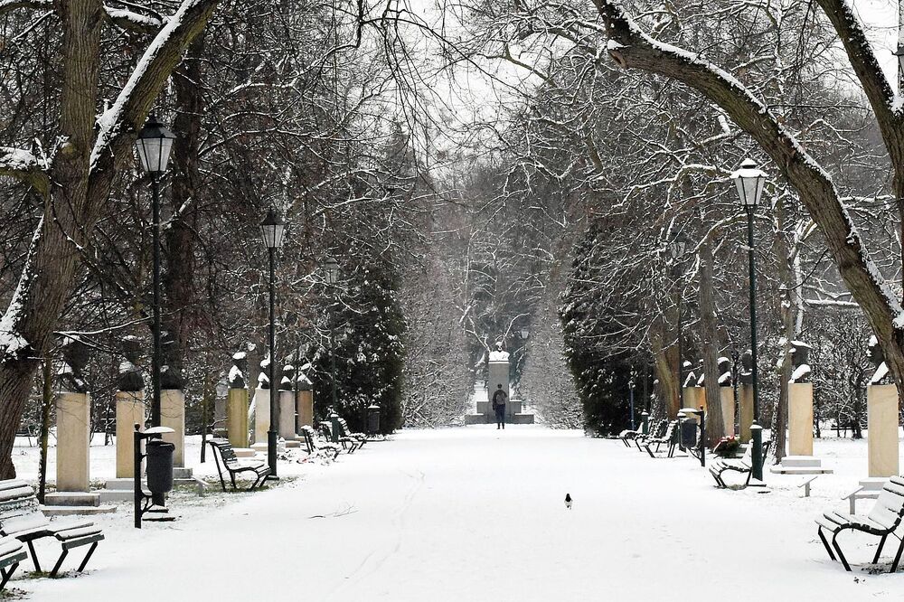 75. rocznica śmierci gen. Leopolda Okulickiego. Fot. Monika Wojtyca (IPN)